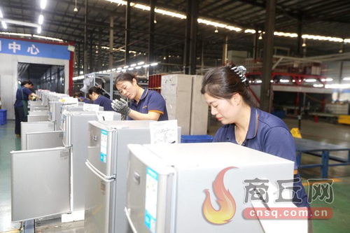 科技賦能，技術(shù)開發(fā)驅(qū)動(dòng)冷產(chǎn)業(yè)轉(zhuǎn)型升級(jí)新篇章